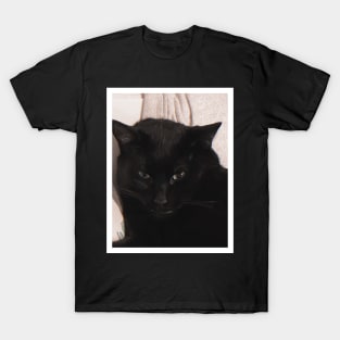 Grumpy Kitty T-Shirt